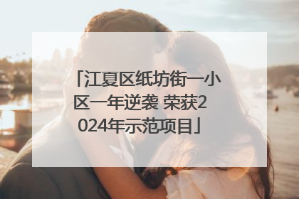 江夏区纸坊街一小区一年逆袭 荣获2024年示范项目