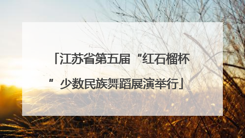 江苏省第五届“红石榴杯”少数民族舞蹈展演举行