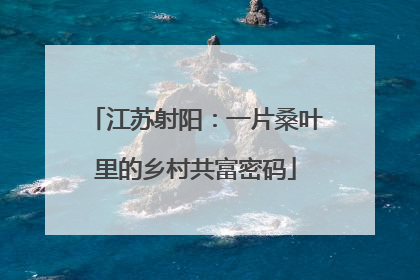 江苏射阳：一片桑叶里的乡村共富密码