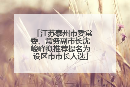 江苏泰州市委常委、常务副市长沈峻峰拟推荐提名为设区市市长人选