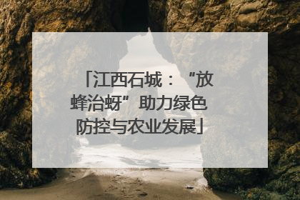 江西石城：“放蜂治蚜”助力绿色防控与农业发展