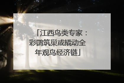 江西鸟类专家：彩鹮筑巢或撬动全年观鸟经济链