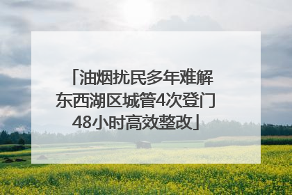 油烟扰民多年难解 东西湖区城管4次登门48小时高效整改