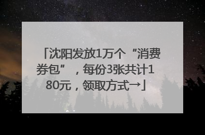 沈阳发放1万个“消费券包”，每份3张共计180元，领取方式→