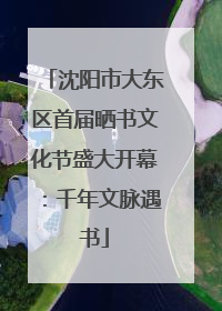 沈阳市大东区首届晒书文化节盛大开幕：千年文脉遇书