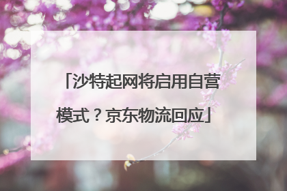 沙特起网将启用自营模式？京东物流回应