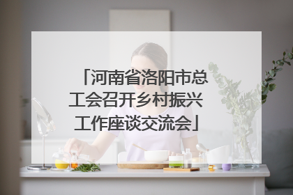 河南省洛阳市总工会召开乡村振兴工作座谈交流会