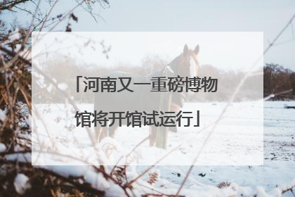 河南又一重磅博物馆将开馆试运行
