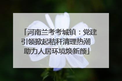河南兰考考城镇：党建引领掀起秸秆清理热潮 助力人居环境焕新颜
