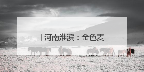 河南淮滨：金色麦浪涌动 淮滨80万亩弱筋小麦开镰