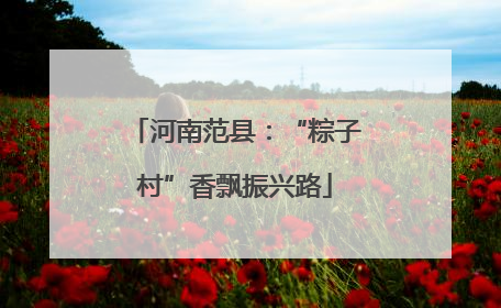 河南范县：“粽子村”香飘振兴路