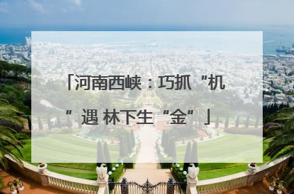 河南西峡：巧抓“机”遇 林下生“金”