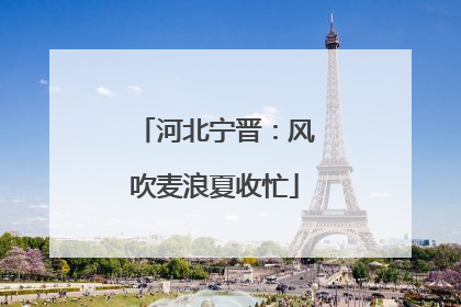 河北宁晋：风吹麦浪夏收忙
