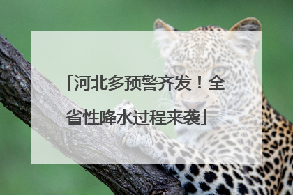 河北多预警齐发！全省性降水过程来袭