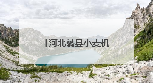 河北蠡县小麦机收率超95%