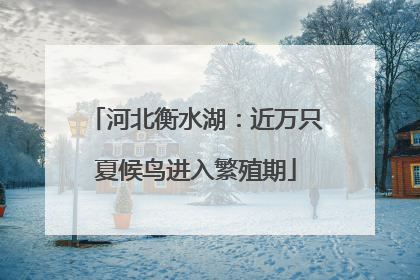 河北衡水湖：近万只夏候鸟进入繁殖期