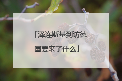 泽连斯基到访德国要来了什么