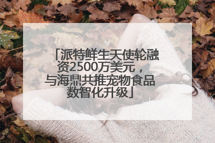 派特鲜生天使轮融资2500万美元，与海鼎共推宠物食品数智化升级