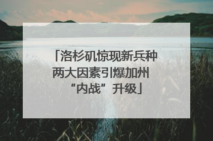 洛杉矶惊现新兵种 两大因素引爆加州“内战”升级