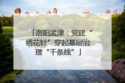 洛阳孟津：党建“绣花针”穿起基层治理“千条线”