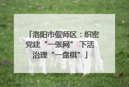 洛阳市偃师区：织密党建“一张网” 下活治理“一盘棋”