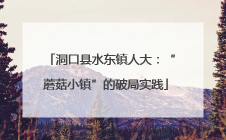 洞口县水东镇人大：“蘑菇小镇”的破局实践