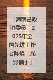 海南省政协委员、2025年全国先进工作者陈峰：光影捕手