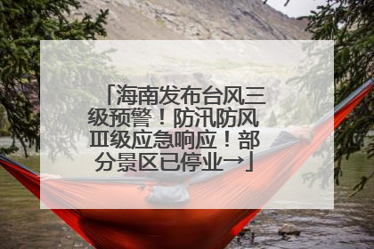 海南发布台风三级预警！防汛防风Ⅲ级应急响应！部分景区已停业→