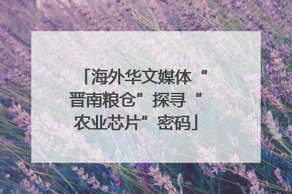 海外华文媒体“晋南粮仓”探寻“农业芯片”密码