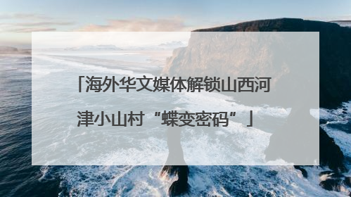海外华文媒体解锁山西河津小山村“蝶变密码”