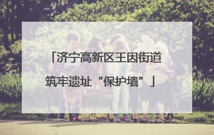 济宁高新区王因街道筑牢遗址“保护墙”