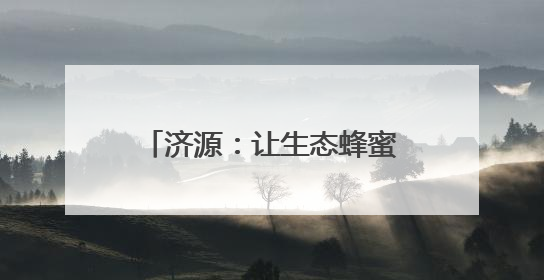 济源：让生态蜂蜜插上“数字翅膀”