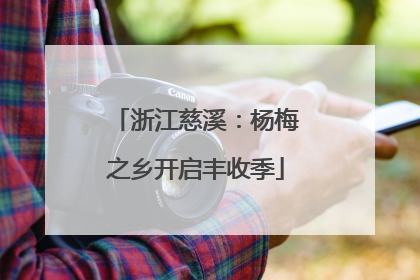 浙江慈溪：杨梅之乡开启丰收季