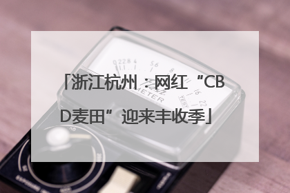 浙江杭州：网红“CBD麦田”迎来丰收季