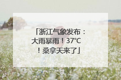 浙江气象发布：大雨暴雨！37℃！桑拿天来了