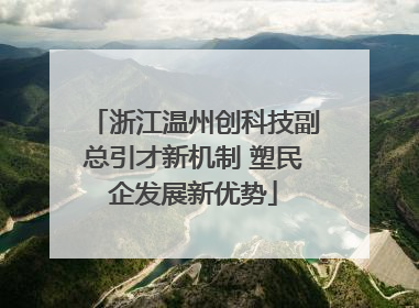浙江温州创科技副总引才新机制 塑民企发展新优势