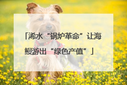 浠水“锅炉革命”让海鳗游出“绿色产值”
