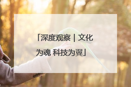 深度观察｜文化为魂 科技为翼
