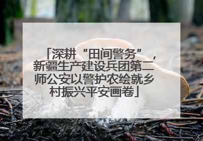 深耕“田间警务”，新疆生产建设兵团第二师公安以警护农绘就乡村振兴平安画卷