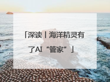 深读丨海洋精灵有了AI“管家”