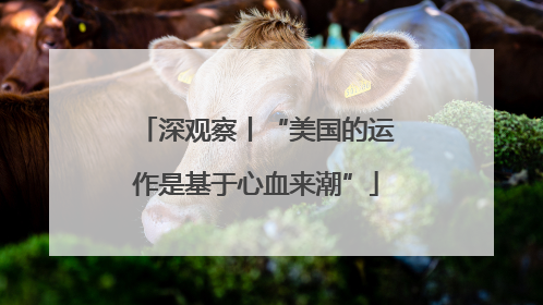 深观察丨“美国的运作是基于心血来潮”