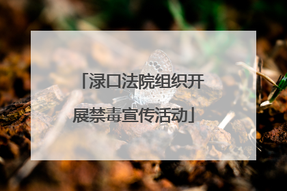 渌口法院组织开展禁毒宣传活动