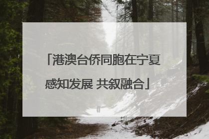 港澳台侨同胞在宁夏感知发展 共叙融合