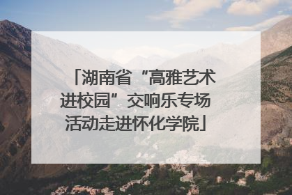 湖南省“高雅艺术进校园”交响乐专场活动走进怀化学院