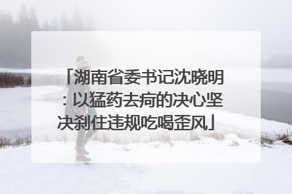 湖南省委书记沈晓明：以猛药去疴的决心坚决刹住违规吃喝歪风