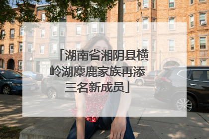 湖南省湘阴县横岭湖麋鹿家族再添三名新成员