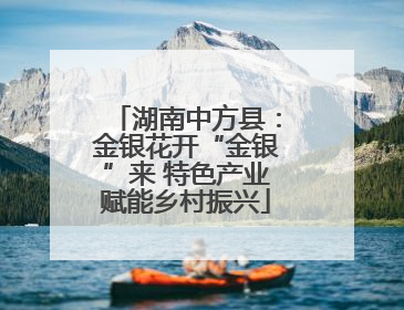 湖南中方县：金银花开“金银”来 特色产业赋能乡村振兴