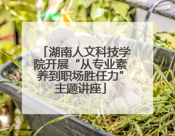 湖南人文科技学院开展“从专业素养到职场胜任力”主题讲座