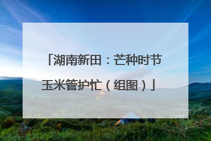 湖南新田：芒种时节玉米管护忙（组图）