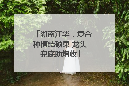 湖南江华：复合种植结硕果 龙头兜底助增收